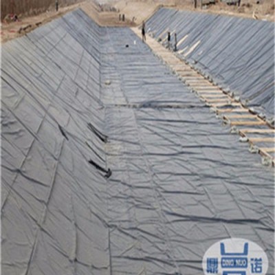中齊  EVA土工膜  生產廠家  現貨銷售