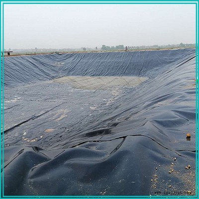 鑫宇 高密度聚乙烯土工膜 防滲hdpe土工膜  廠家批發