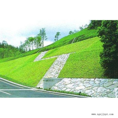 供應CE111土工網 軟土地基加筋HDPE土工網