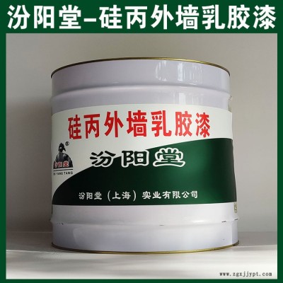 硅丙外墻乳膠漆，汾陽堂，硅丙外墻乳膠漆，耐久性好，與后道漆附著好！