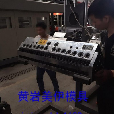 片材PP擠出成型模具 精密片材擠出模具，臺(tái)州黃巖PMMA片材模具，