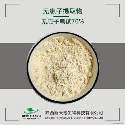 新天域生物科技有限公司現貨供應無患子提取物 無患子皂甙70% 洗滌用品發泡劑   水溶粉    植提廠家
