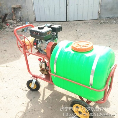 7.5馬力汽油機(jī)手推打藥機(jī) 潤(rùn)發(fā)機(jī)械手推噴藥機(jī) 手推高壓拉管?chē)婌F機(jī) 高壓氣霧 噴霧器