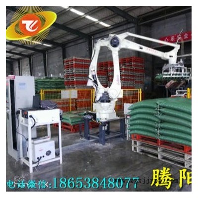 騰陽(yáng)非標(biāo)全自動(dòng)碼垛機(jī)袋裝碼垛機(jī)碼垛機(jī)械手