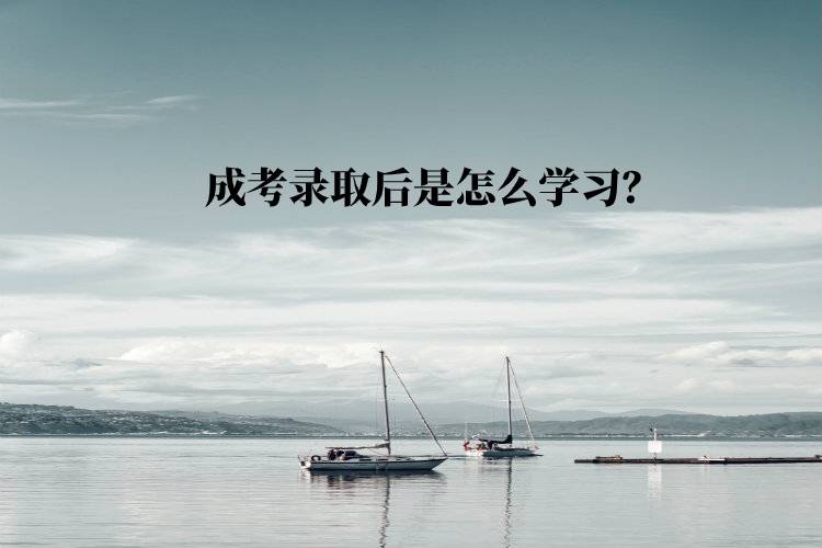 成考錄取后是怎么學(xué)習(xí)？