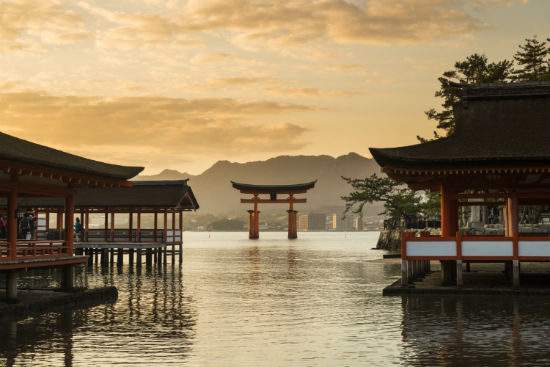 西安交通大學(xué)網(wǎng)絡(luò)教育學(xué)院有新的招生簡(jiǎn)章和報(bào)考規(guī)定了嗎？