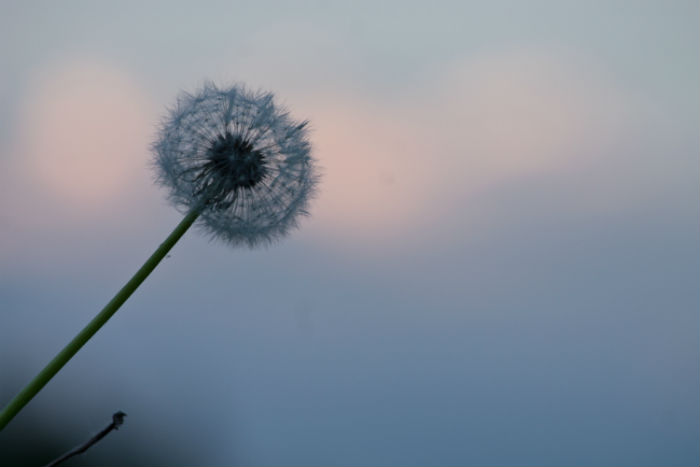 在嘉興專升本什么時(shí)候能報(bào)名和在哪兒報(bào)名比較靠譜？
