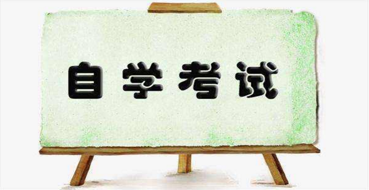 自考如何高效背書？有什么經(jīng)驗技巧嗎？