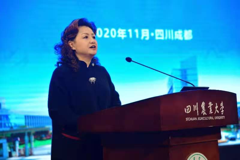 立足新起點(diǎn) 把握新要求 開啟新征程 ——學(xué)校2020年繼續(xù)教育年會召開