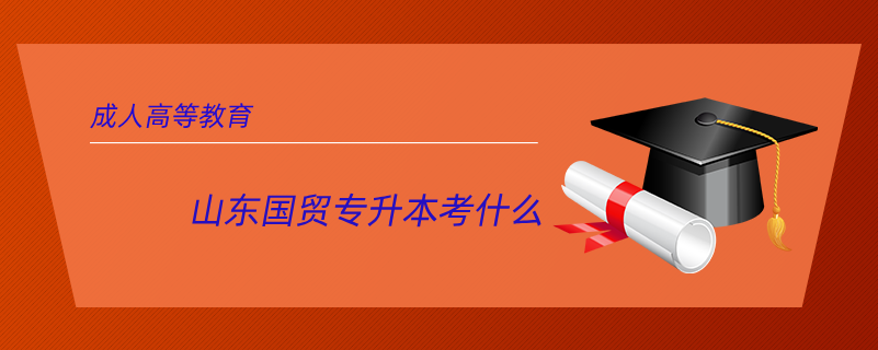 山東國貿專升本考什么
