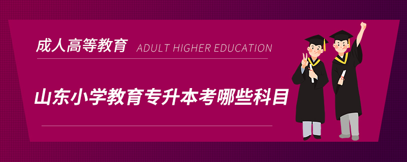 山東小學教育專升本考哪些科目