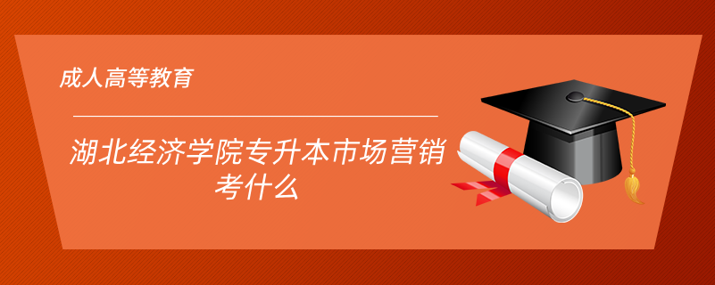 湖北經(jīng)濟學院專升本市場營銷考什么