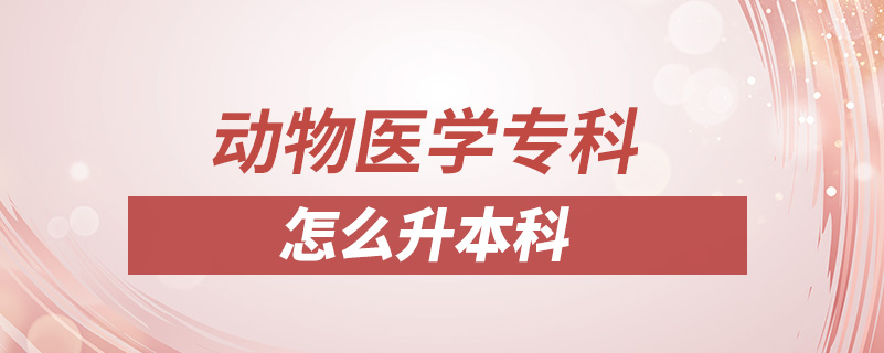 動物醫(yī)學(xué)?？圃趺瓷究? /></p><p style=