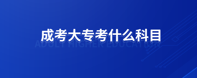 成考大?？际裁纯颇? /></p><p style=