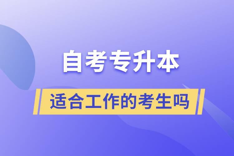 一起了解自考專升本的特點(diǎn)，適合工作忙的人報考么？