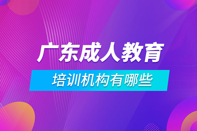 廣東成人教育培訓(xùn)機構(gòu)有哪些