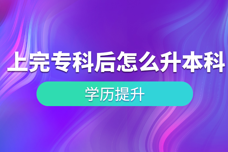 上完專科后怎么升本科？