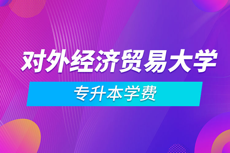 對外經(jīng)濟貿(mào)易大學專升本學費