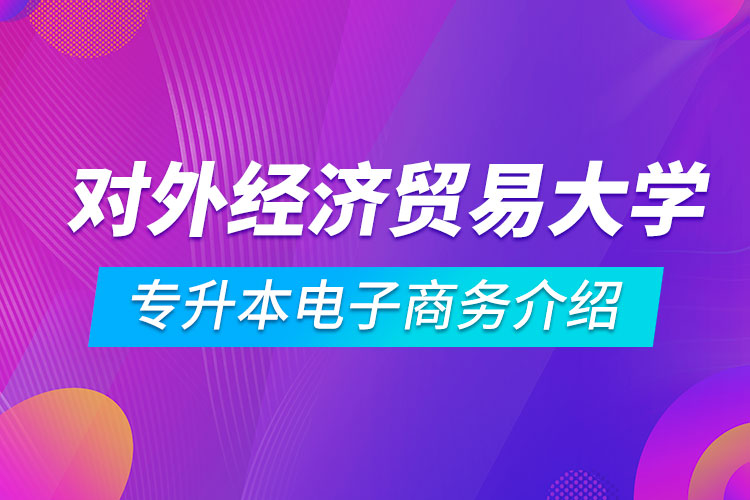 對外經(jīng)濟貿(mào)易大學專升本電子商務介紹
