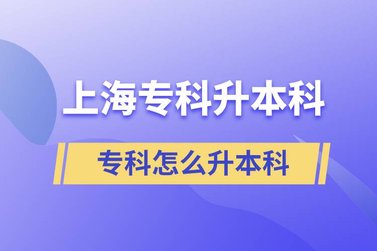 上海?？圃趺瓷究? /></p><p style=