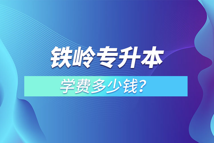 鐵嶺專升本學(xué)費(fèi)大概多少錢一年？