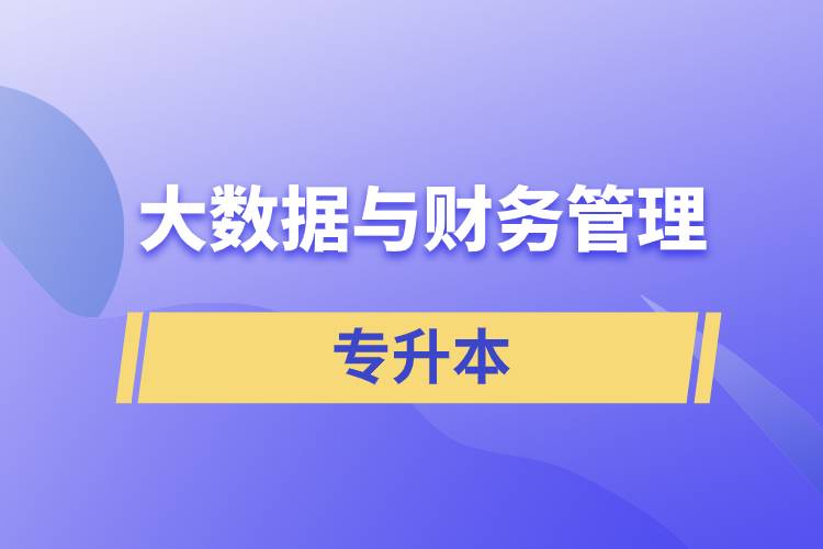 大數(shù)據(jù)與財(cái)務(wù)管理專(zhuān)升本