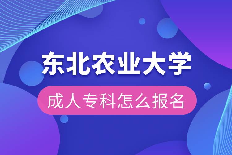東北農(nóng)業(yè)大學(xué)成人?？圃趺磮?bào)名