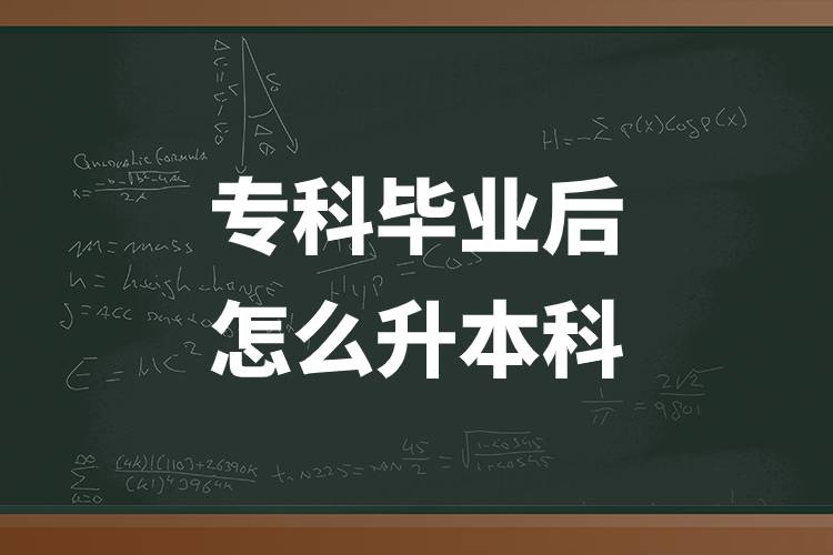 ?？飘厴I(yè)后怎么升本科.jpg