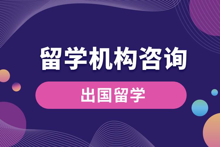 留學機構(gòu)咨詢.jpg