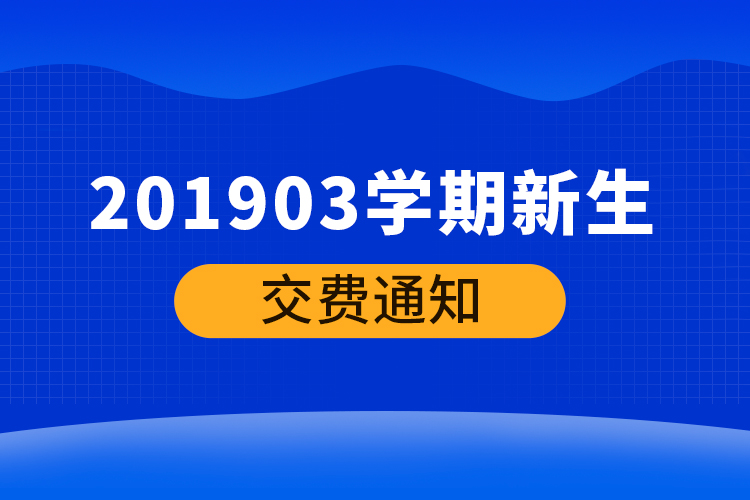 201903學(xué)期新生交費通知