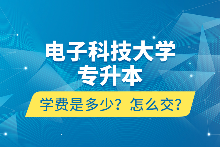 電子科技大學專升本學費是多少？怎么交？