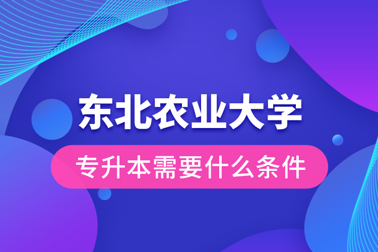 東北農(nóng)業(yè)大學(xué)專升本需要什么條件？