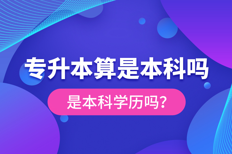 專升本算是本科嗎？是本科學歷嗎？