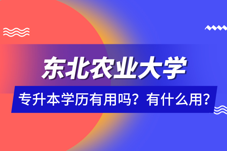東北農(nóng)業(yè)大學專升本學歷有用嗎？有什么用？