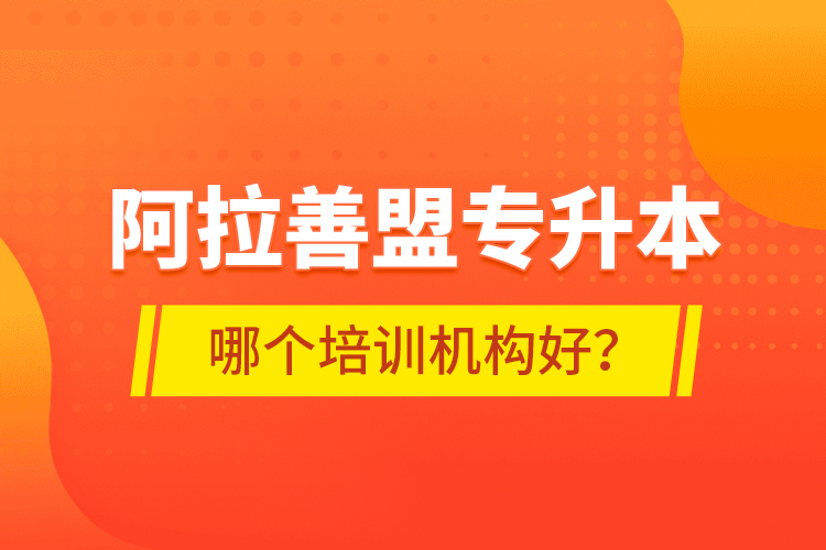 阿拉善盟專升本哪個培訓機構好？