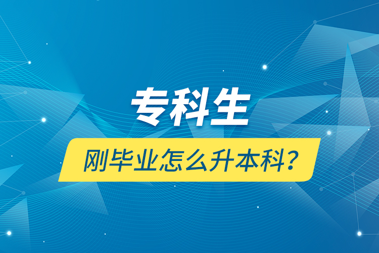 專科生剛畢業(yè)怎么升本科？