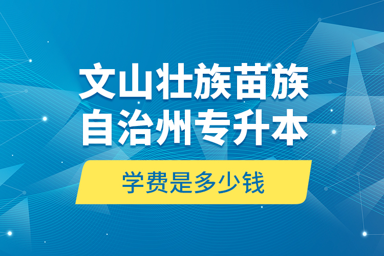 文山壯族苗族自治州專升本學費是多少錢？