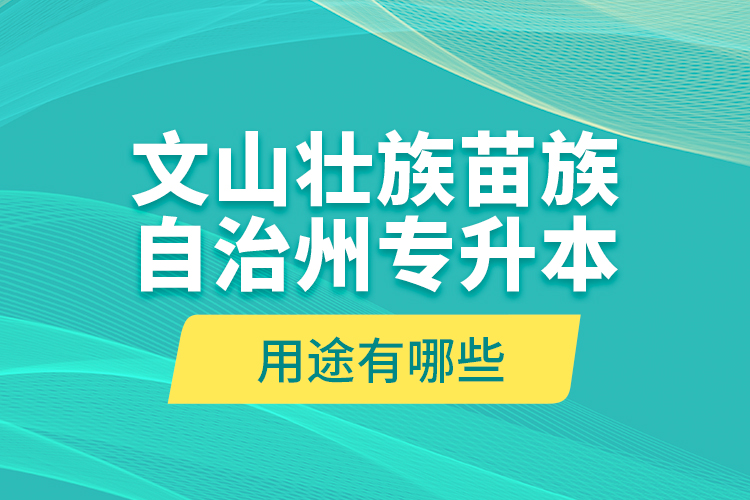 文山壯族苗族自治州專升本的用途有哪些？