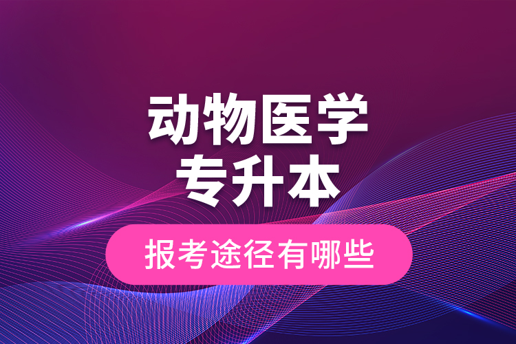 動物醫(yī)學專升本的報考途徑有哪些？