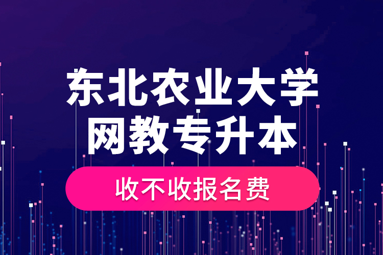 東北農(nóng)業(yè)大學(xué)網(wǎng)教專升本收不收?qǐng)?bào)名費(fèi)？