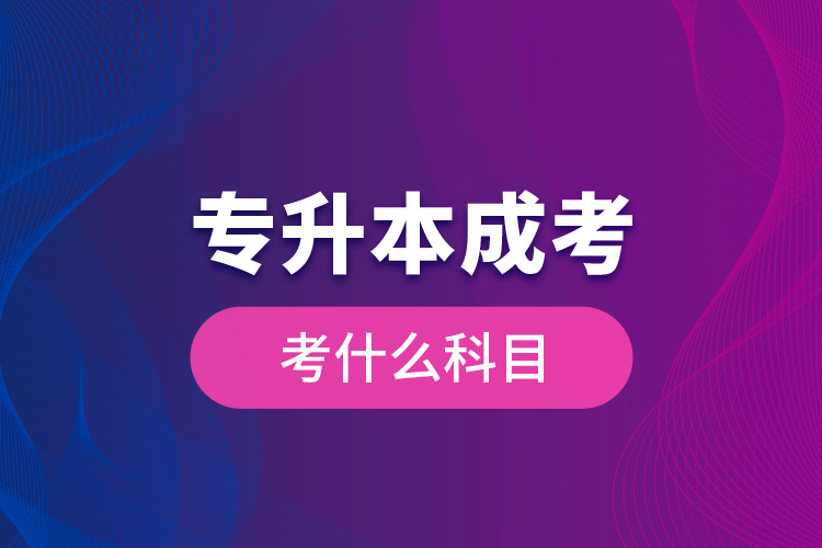 專升本成考考什么科目？